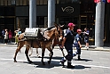 Raduno Carabinieri Torino 26 Giugno 2011_444